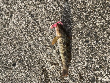 爆風の中のライトゲーム